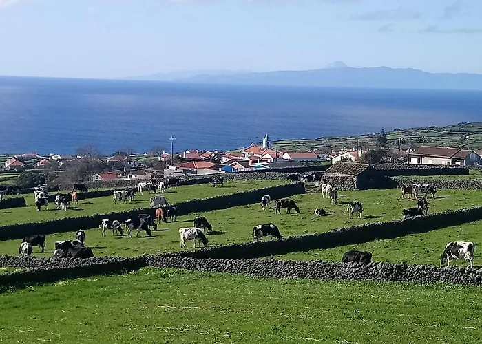 O Miradouro